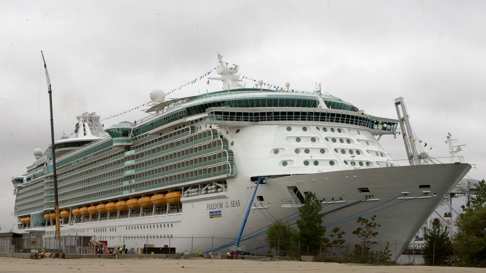 Parents Of Girl Who Fell To Her Death Sue Cruise Company Abc News Images, Photos, Reviews