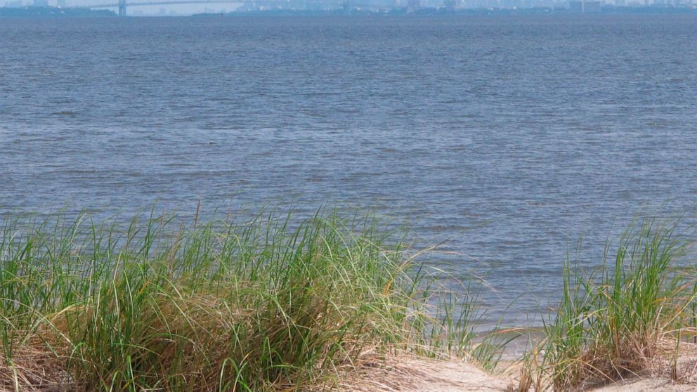 In this June 3, 2019 photo the New York City skyline is in the background of the Raritan Bay as seen from Middletown, N.J. New Jersey environmental officials are due to decide Wednesday, June 5 on key permits for a nearly $1 billion pipeline that wou