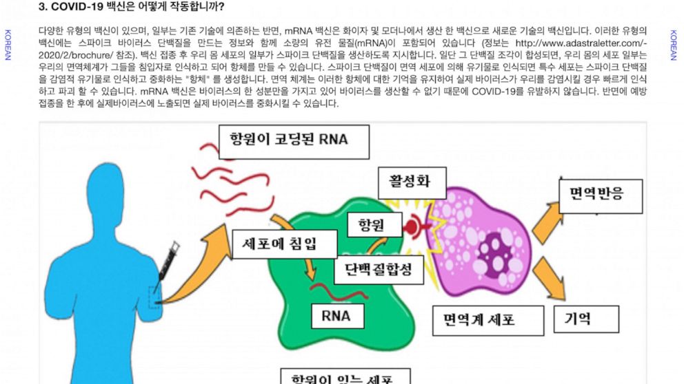 This illustration provided by LaGuardia Community College, shows a diagram in Korean explaining RNA vaccine technology used in the COVID-19 vaccines as a part of the LaGuardia Community College's second online Undergraduate Research Newsletter, which