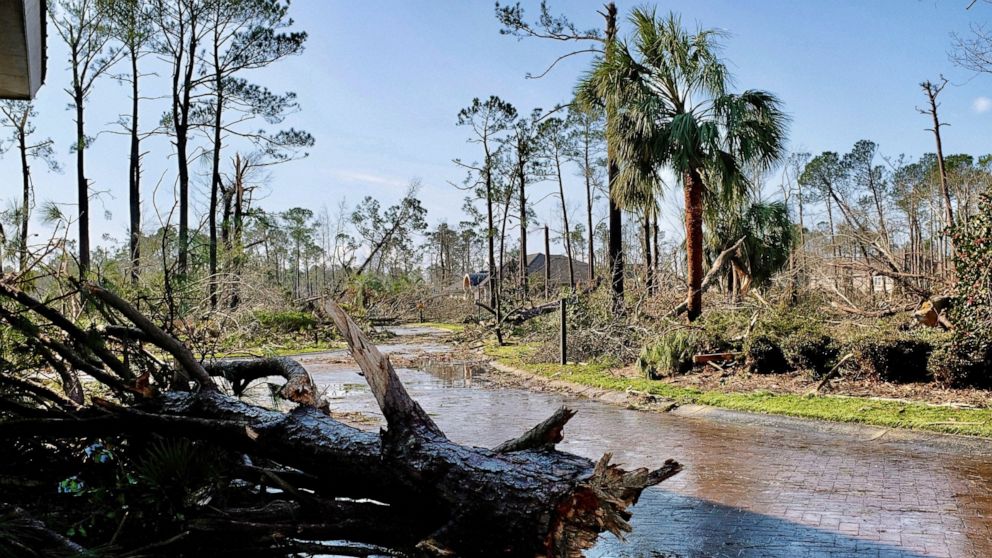 Fallen trees litter the ground after a tornado tore through a residential area of Brunswick County, N.C., Tuesday, Feb. 16, 2021, killing multiple people and injuring others in its trail of destruction. (James Lee/The News & Observer via AP)