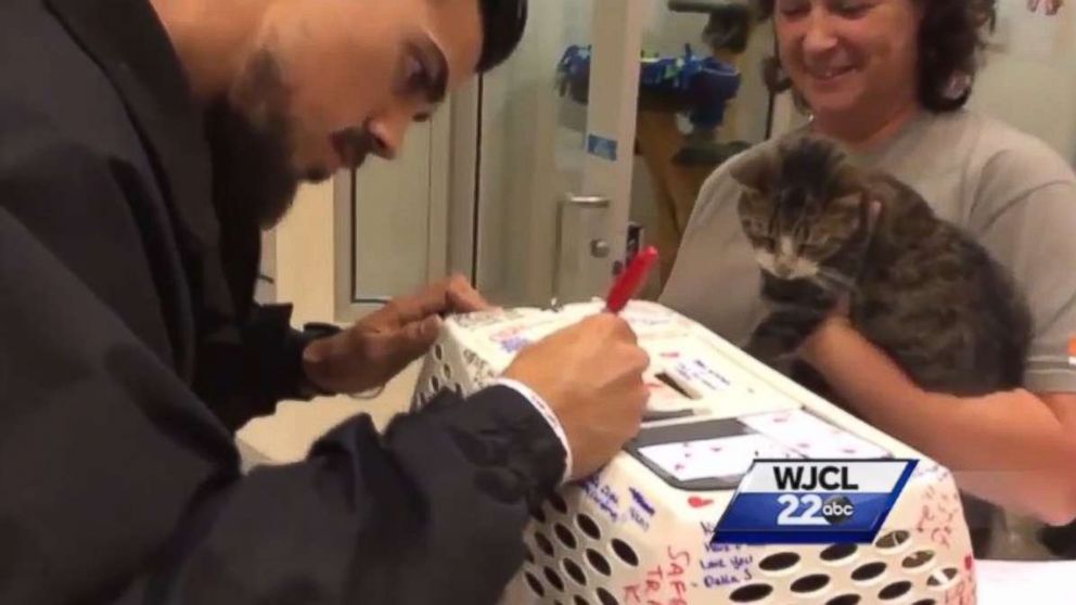 ASPCA workers in Riverside, Calif., wrote messages on Kitty Bitty's carrier for the Cameron family.