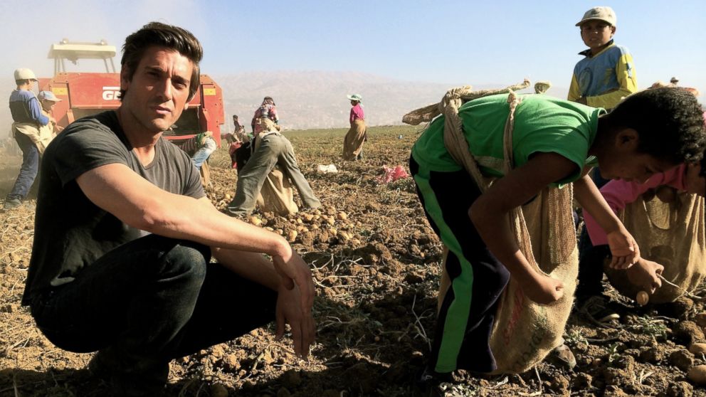 David Muir traveled to Lebanon's border with Syria, reporting on the thousands of children working in the fields to help their families survive. 
