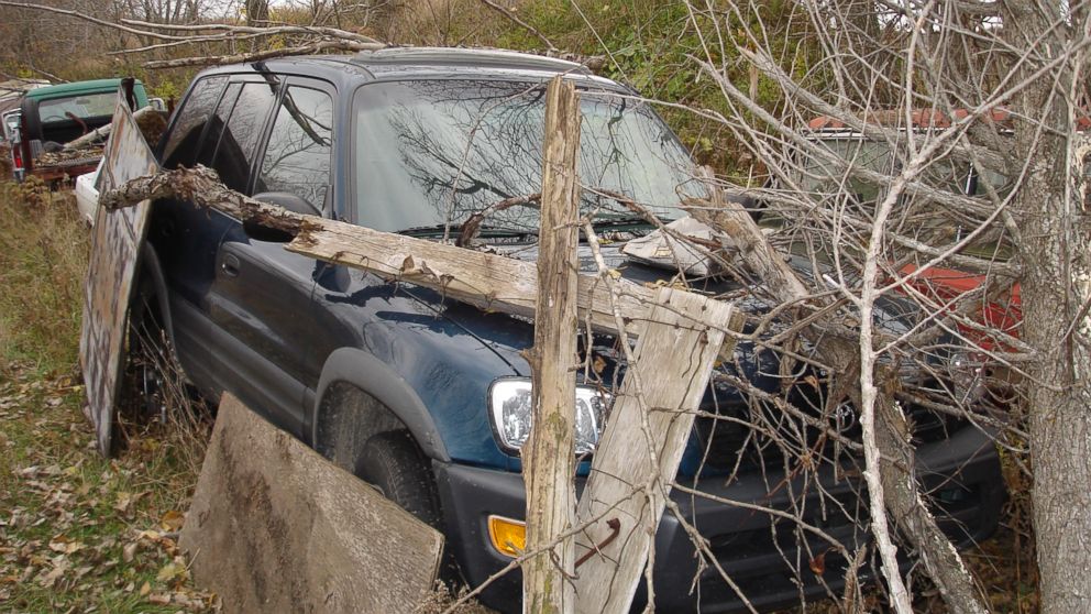 Witness Saw Steven Avery's Nephew Move Teresa Halbach's Car, Court