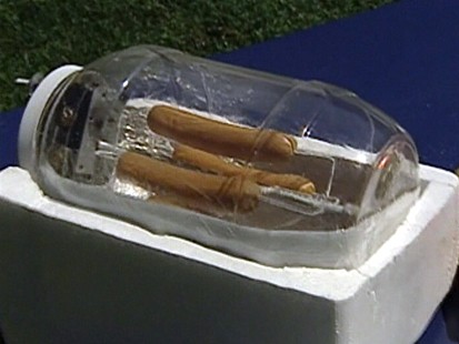 Hot Dog Rotisserie
