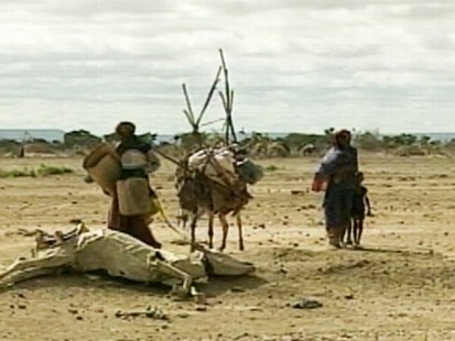 VIDEO: Global Earth summit in South Africa