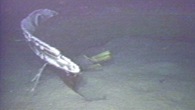 March 7 1986 Challenger Cabin Recovered Video Abc News