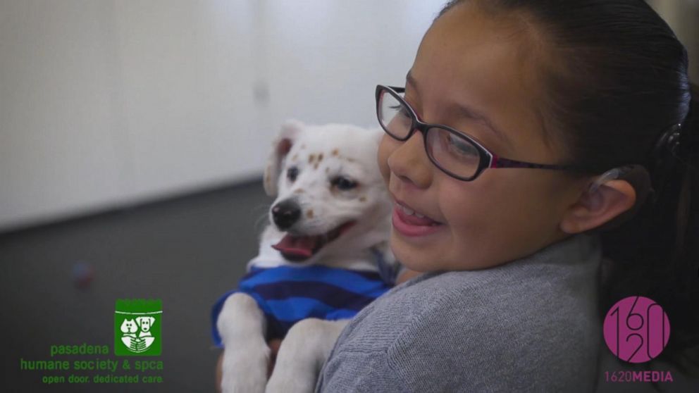 PHOTO: Julia, who is deaf, shares a special bond with her dog Walter, who is also deaf, according to the Pasadena Humane Society and SPCA.