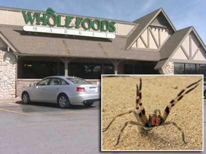 VIDEO: Deadly spider arrives in Whole Foods banana shipment.