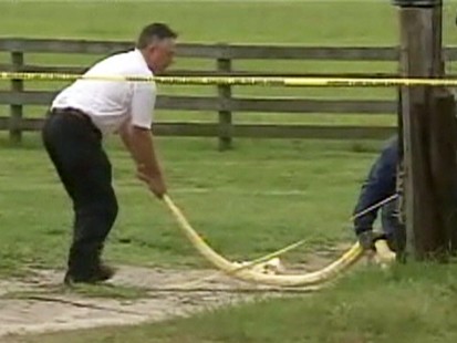 VIDEO: 911 call placed after a toddler was strangled by a python.