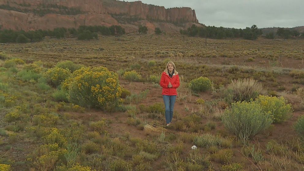 ABC's Martha Raddatz is seen here on Navajo Nation land, which stretches across 13 counties in three states. 