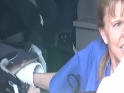 Video: Florida veterinarians operate on shark.