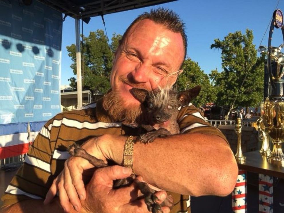 PHOTO: Jason Wurtz of Encino, California, with his blind Chihuahua/Chinese Crested mix Sweepee Rambo, who won the World's Ugliest Dog Contest at the Sonoma-Marin County Fairgrounds in Petaluma, California, on June 24, 2016.