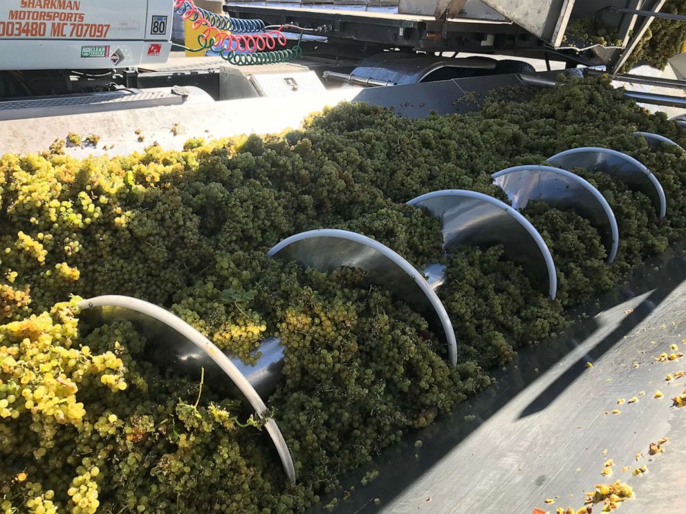 Some of California’s Santa Maria Valley's winemakers have just wrapped up the harvest season, also called the “crush” season. 