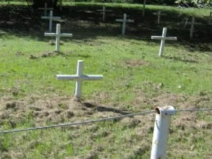 Picture of mass grave.