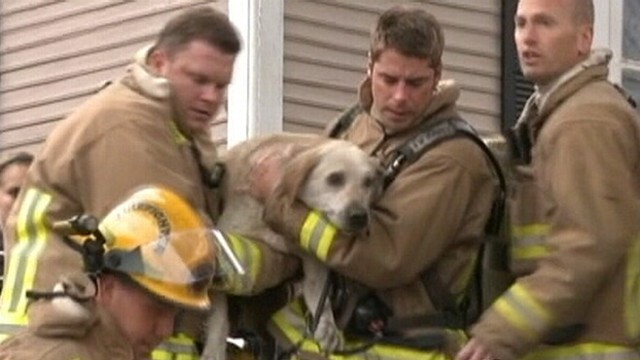 Wisconsin Family and Dog Safe After Firefighter Gives 