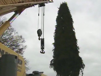 Christmas tree