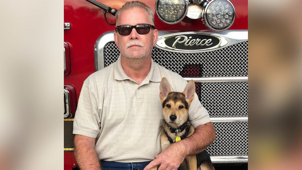 VIDEO: Firefighter who rescued puppy trapped under rocks adopts him