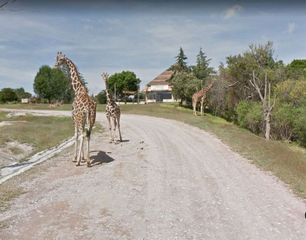 PHOTO: Africam Safari in Puebla Mexico road seen pictured in this undated Google Maps image.