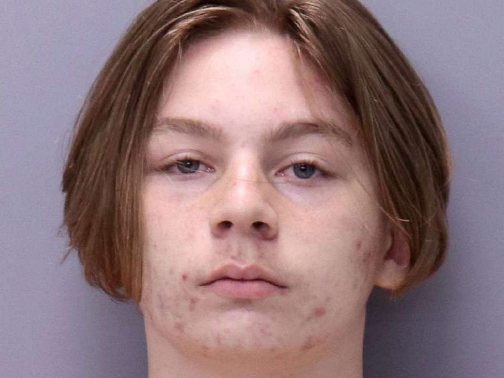 14-year-old boy will be tried as adult for allegedly stabbing teen girl 114  times - ABC News