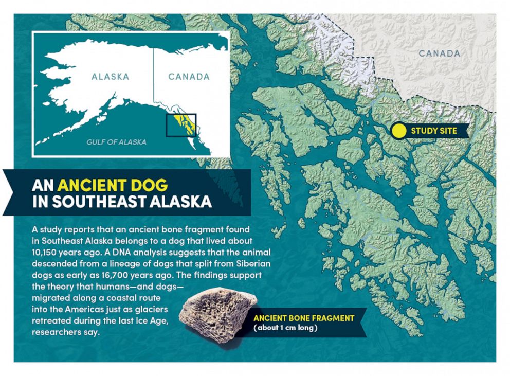 PHOTO: A map shows the location where a dog bone dated to be from 10,150 years ago was found.