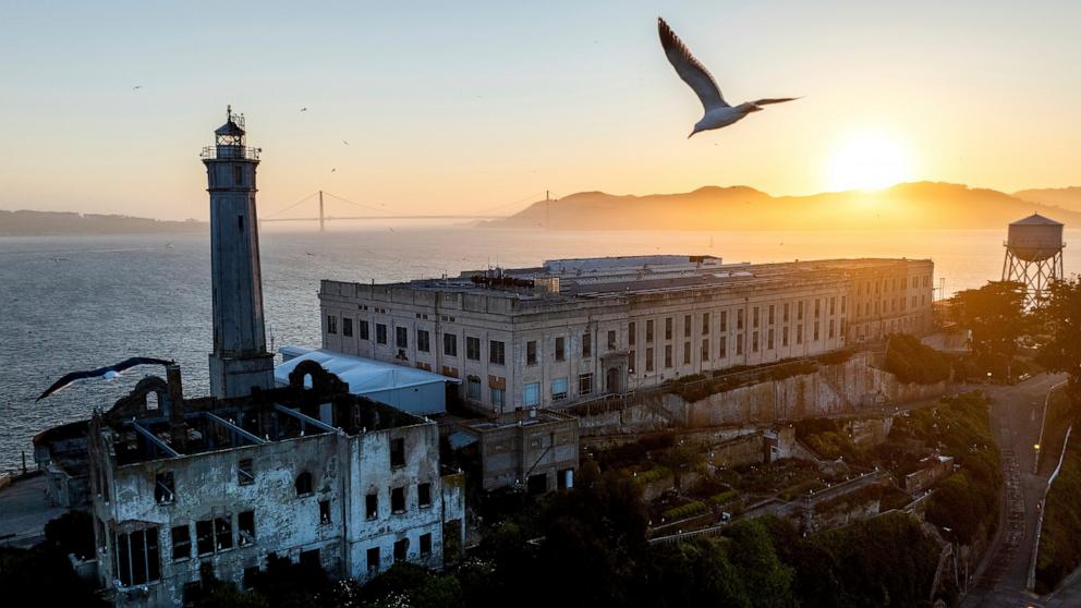 PHOTO: A bird flies above Alcatraz Island, May 4, 2025, in the San Francisco Bay, Calif.