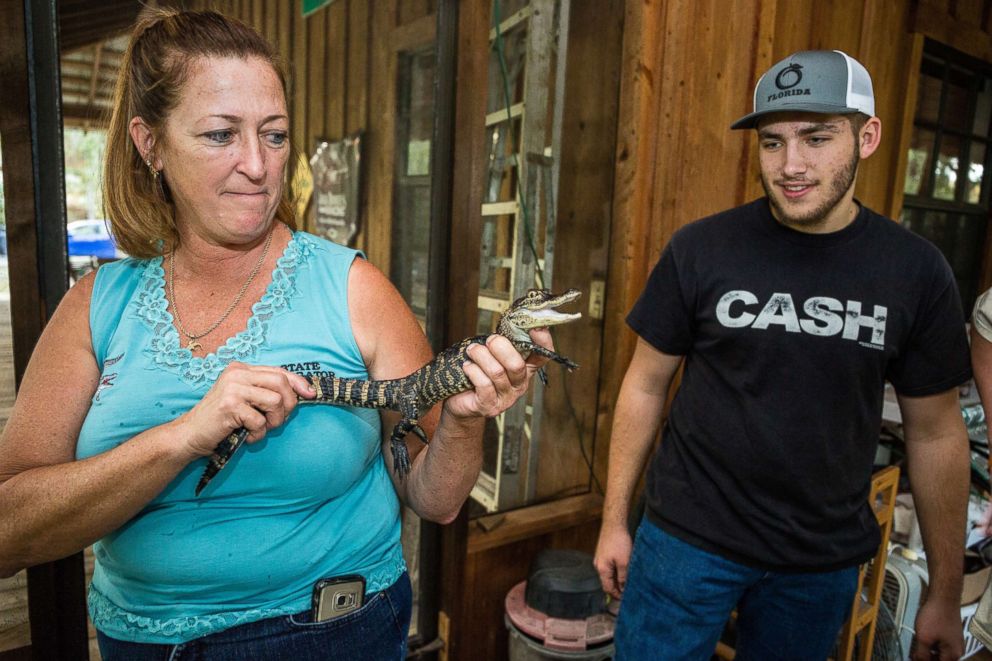 PHOTO: Julie Harter holds one of the baby alligators she's raising at home while her grandson Jacob McFarland watches.