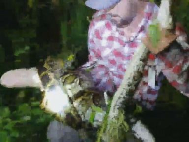 Professional python trapper Mike Kimmel was driving through Everglades National Park on Saturday with his friend, Jack Hubbard, when they came across a python in the bushes. When Kimmel approached, he realized the python was wrapped around an alligator, trying to suffocate it before eating it. While Hubbard was recording, Kimmel grabbed the 10-foot python by its head and the tail of the four-foot-long gator to drag it back towards the road. As he got to the road, the python loosened its grip on the gator, letting it free. As the gator moved away to safety back into the Everglades, Kimmel and Hubbard worked to carefully coax the python into a trapping bag. As a state-contracted python hunter for South Florida Water Management District, Kimmel has removed over 1,070 pythons from the Everglades. This was his third time rescuing an alligator from the killer grip of a python in the last year. Kimmel, who has spent his whole life trapping pythons, told ABC News that “People...