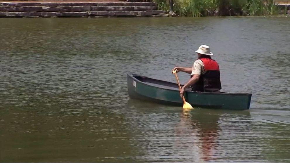 PHOTO: Officials looking to trap alligator spotted in Humboldt Park Lagoon in Chicago.