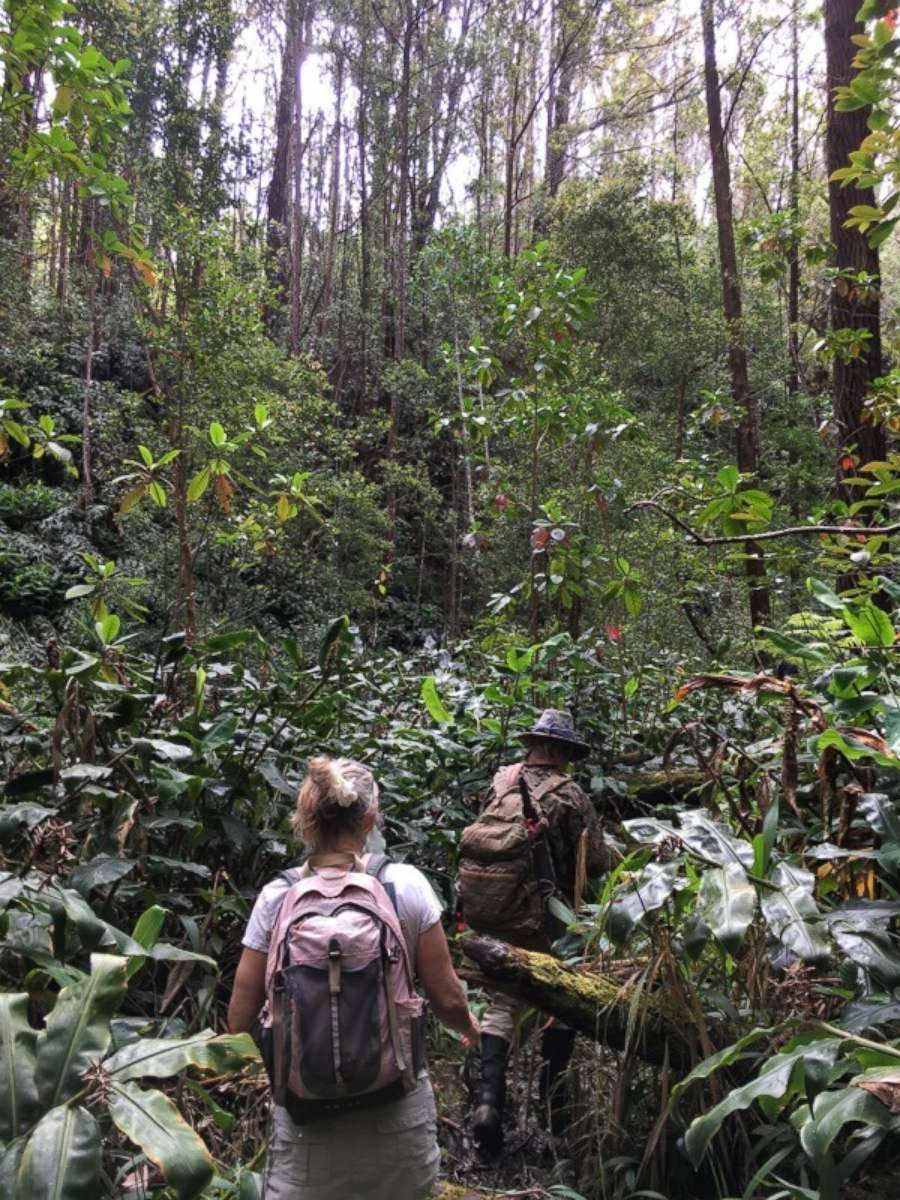 PHOTO: Search and rescue crews are looking for Amanda Eller, 35, who went missing in the Makawao Forest Reserve in Maui, Hawaii, when going on a hike Thursday, May 9, 2019. The physical therapist and yoga teacher has not been seen for three days.