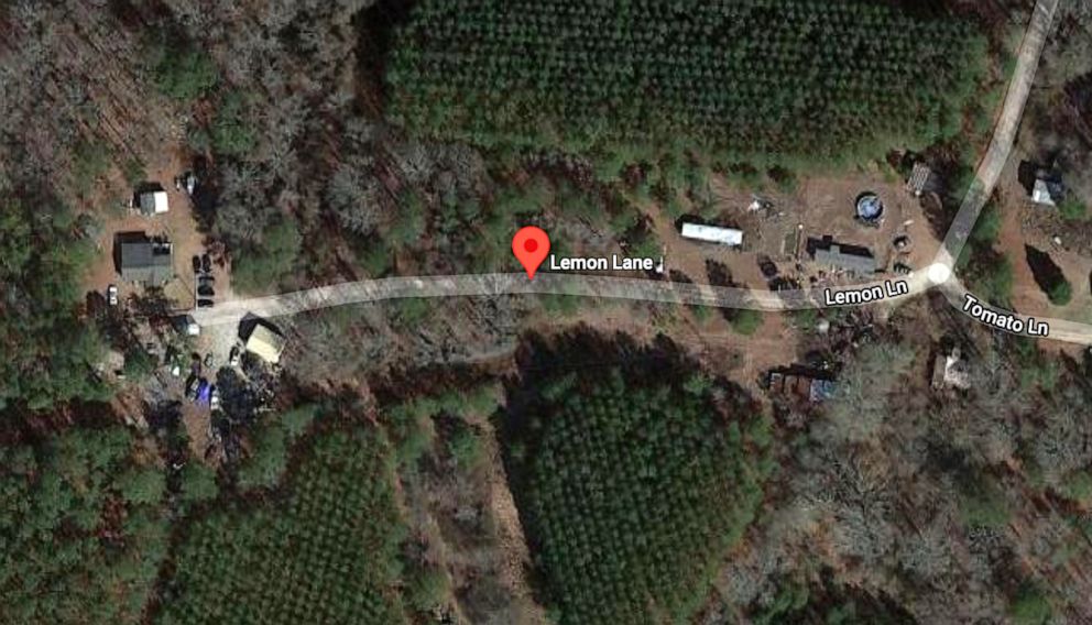 PHOTO: In this screen grab taken from Google Maps, Lemon Lane in Bunnlevel, N.C., is shown.