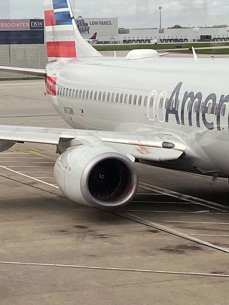 PHOTO: An American Airlines flight bound for Phoenix was grounded after a bird strike on March 23.