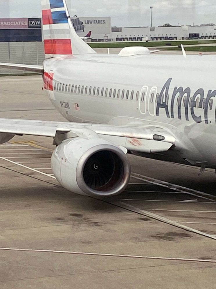 PHOTO: An American Airlines flight headed to Phoenix was rerouted back to its departure at John Glenn Columbus International Airport in Columbus, Ohio, after a bird struck, April 23, 2023.