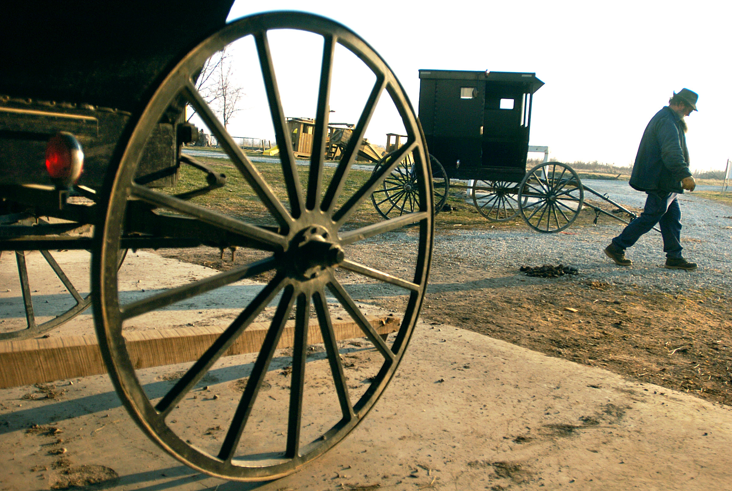 PHOTO: An Amish man who lives just outside of Jamesport, Mo., readies a buggy for travel, March 16, 2005.