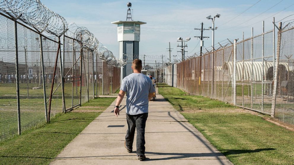PHOTO: In this Oct. 14, 2013, file photo, a prisoner walks thru a fenced section toward a guard tower at Angola Prison, in Louisiana.