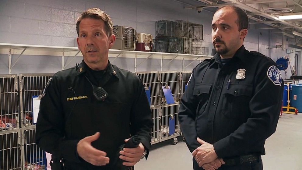 PHOTO: Macomb County Animal County seized 88 cats, a dog and a beta fish from a home in Mount Clemens, Michigan, where a woman in her 60s was being evacuated. 