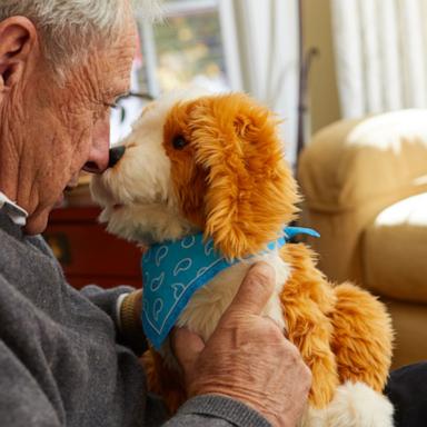 The New York State Office for Aging has given away approximately 31,500 animatronic pets.