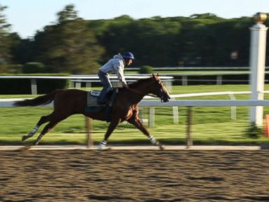 Triple Crown hopeful and his team will be sporting the shoe company's branding.