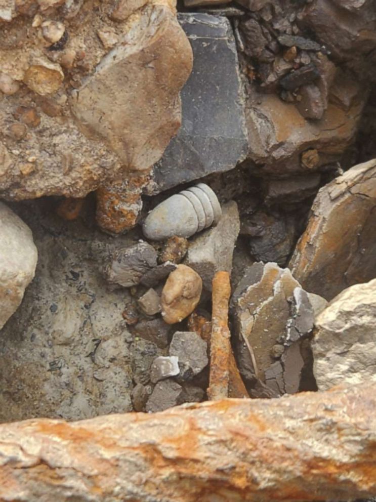 PHOTO: Another Union 58 caliber three ring minie ball washed out of the river bank.