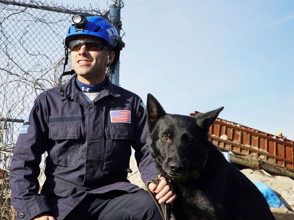 PHOTO: Bruno with his handler NYPD Officer Anthony Barreto at the FEMA Urban Search and Rescue team exam.