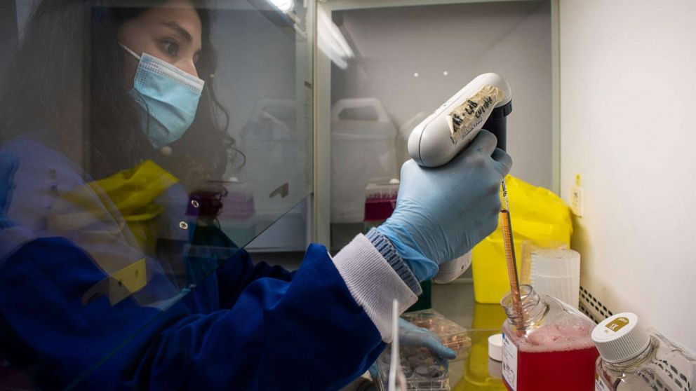 PHOTO: Handout picture released by the Austral University of Chile showing scientists working at the universiy laboratory in the development of antibodies in Valdivia, Chile, on May 26, 2021. 