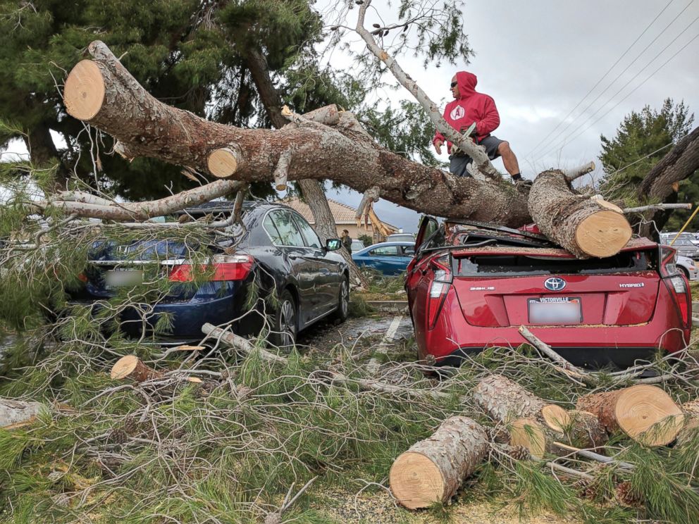 PHOTO: Hesperia Unified School district Maintenance and Operations Staff cut away a tree which fell on a car at Kingston Elementary School in Hesperia, California, Feb. 17, 2017. 