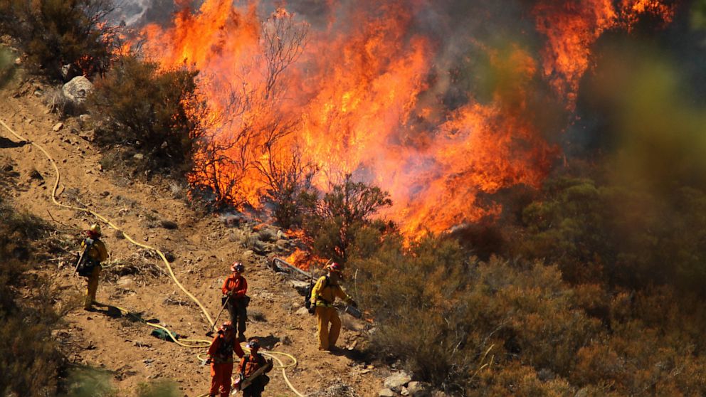 Firefighters in an engine company set fire to reinforce the line to stave off part of the Mountain Fire burning on July 17, 2013. 