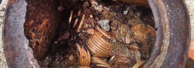 10m Gold Coin Hoard Found In Yard May Have Been Stolen From Mint