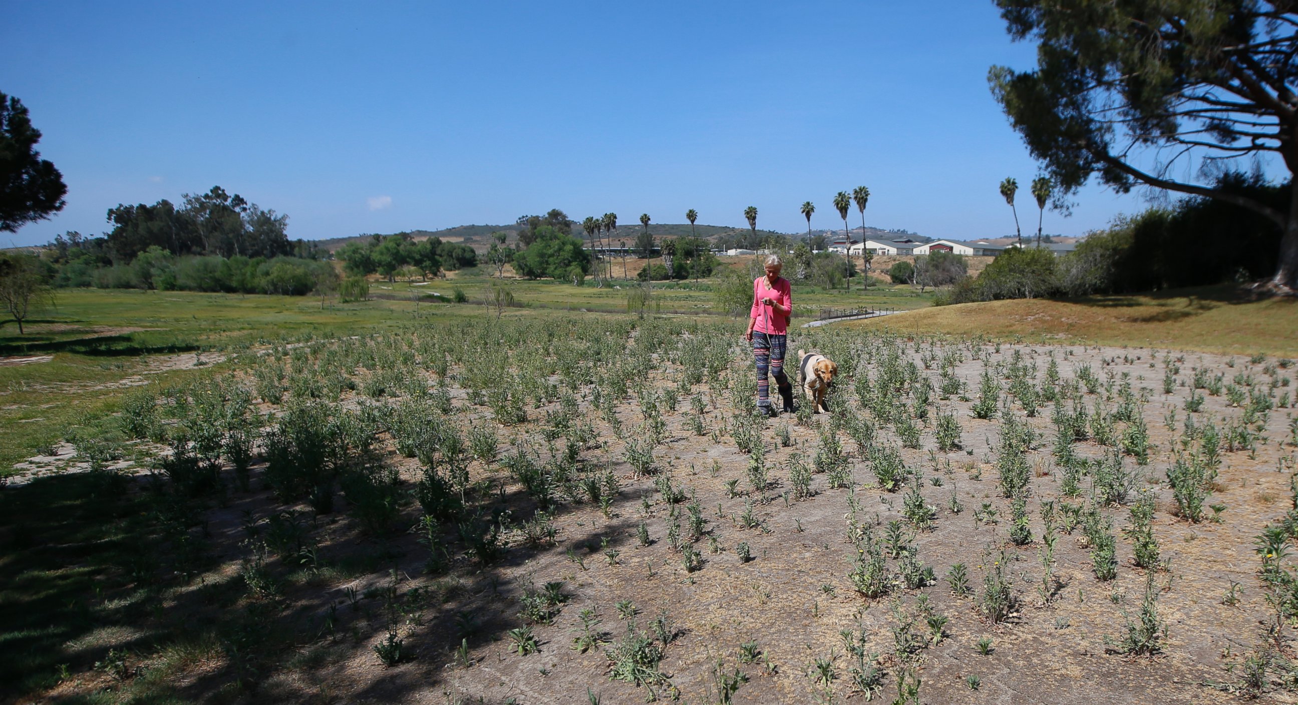 a-sobering-look-at-the-california-drought-photos-image-41-abc-news