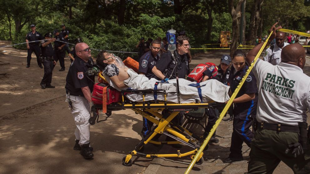 VIDEO: Investigation Underway After Explosive Injures 1 in Central Park