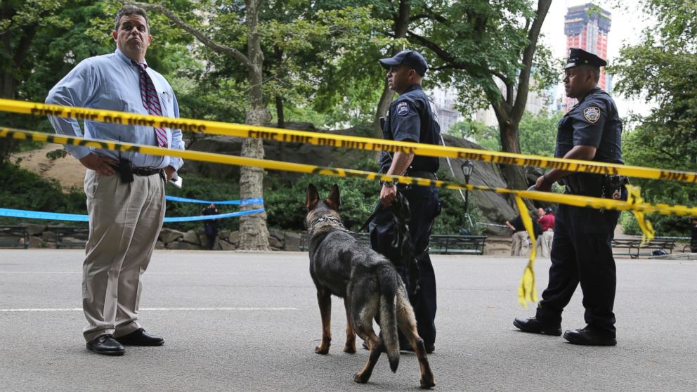 VIDEO: Investigators said they have identified traces of some of the substances that were used to make an explosive that detonated in Central Park earlier this month, seriously injuring an 18-year-old tourist.