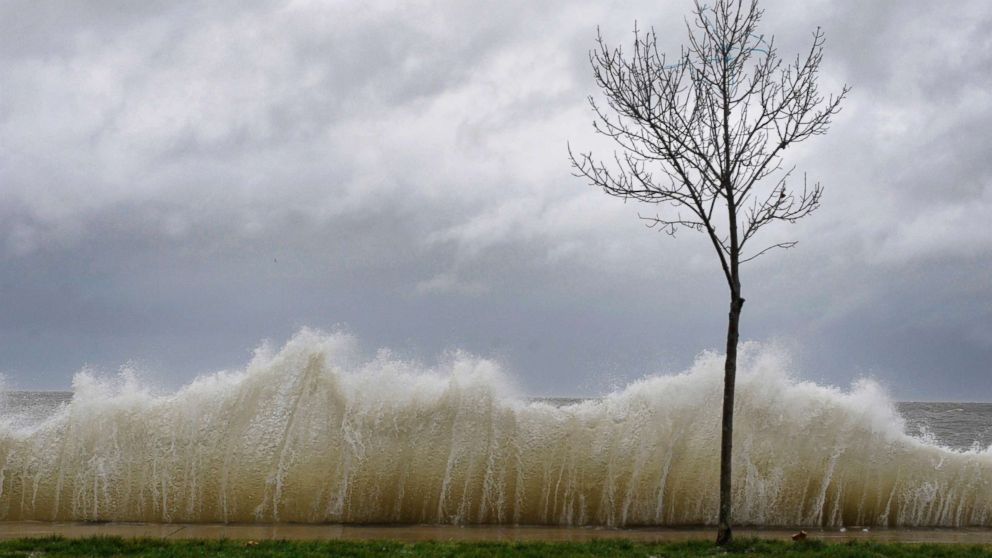 In this file photo, storm surge hits a small tree as winds from Hurricane Sandy reach Seaside Park in Bridgeport, Conn., Oct. 29, 2012.
