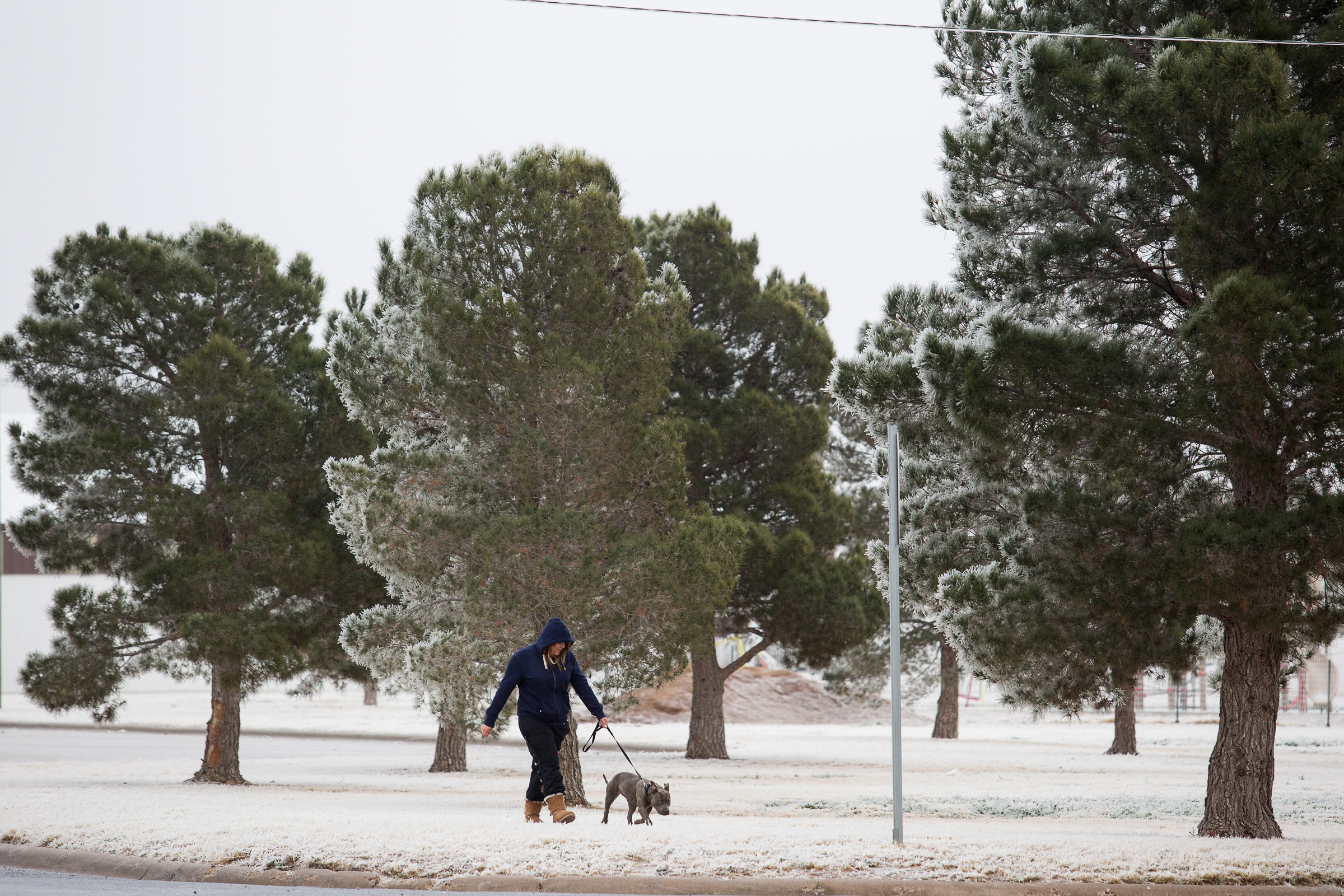 PHOTO: Yasmine Rodriguez walks her dog Hennessy, after an overnight ice storm in Odessa, Texas, Dec. 31, 2014.