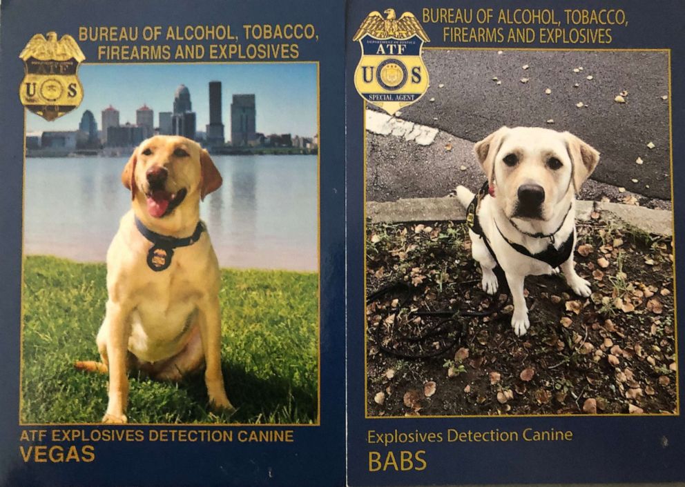 PHOTO: Cards handed out by ATF Dog handlers which show statistics and other relevant information about the dogs.