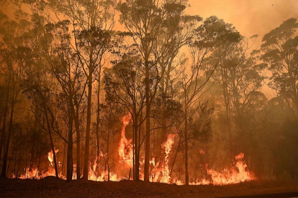 PHOTO: A bushfire burns in the town of Moruya, south of Batemans Bay, in New South Wales, Australia, Jan. 4, 2020. 